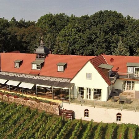 Pension Bella Vista - Winzerhof Golk Meißen Exterior foto