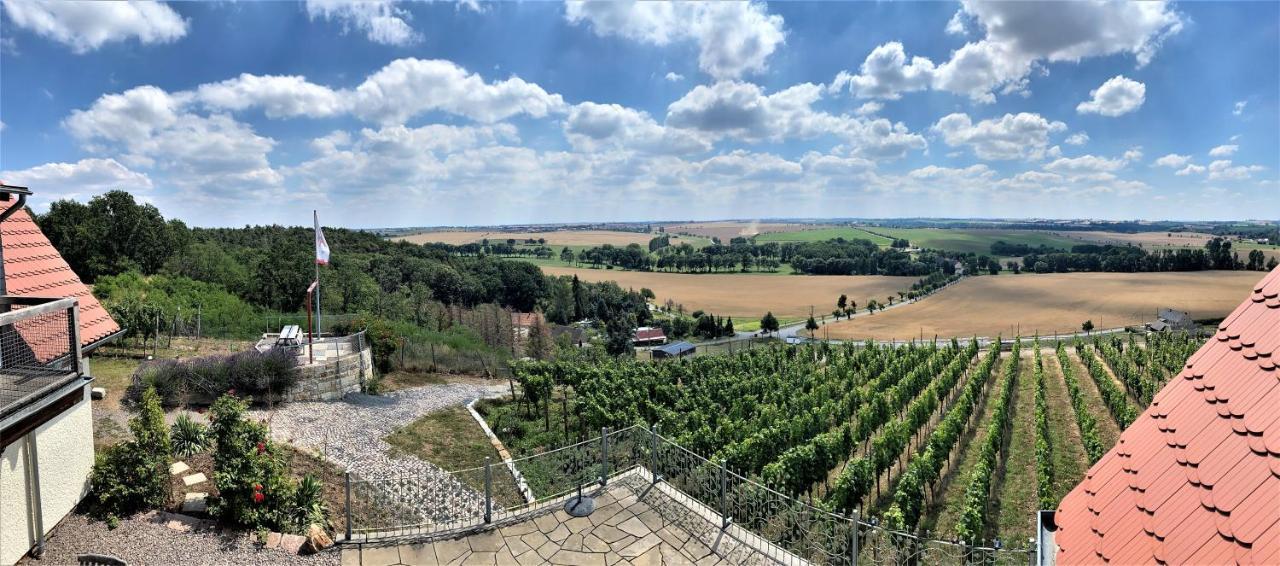 Pension Bella Vista - Winzerhof Golk Meißen Exterior foto